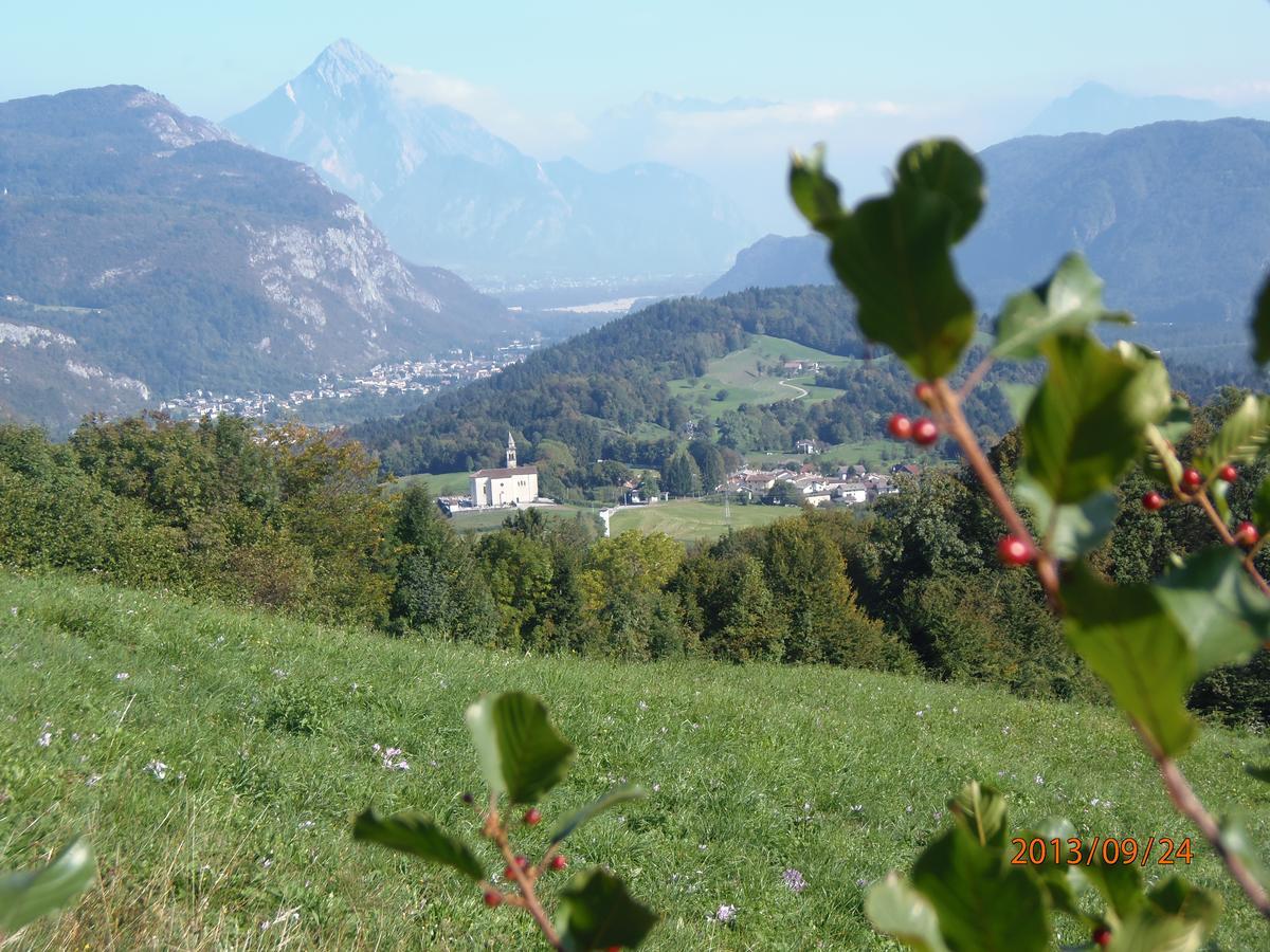Alla Pagoda Enemonzo Esterno foto